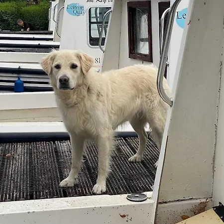 Leitrim Quay - Riverside 9 County Leitrim